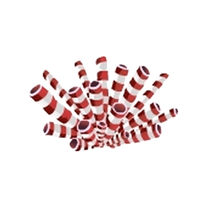 Candy Cane Tube Sponge Feeder